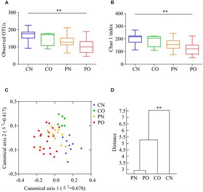 Dysbiosis of Gut Microbiota Associated with Clinical Parameters in Polycystic Ovary Syndrome